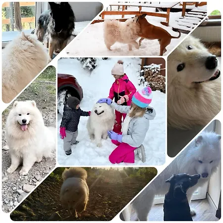 Widokowy Z Balia Jacuzzi I Sauna Na Wylacznosc - Sikorowka - Dobre Miejsce *