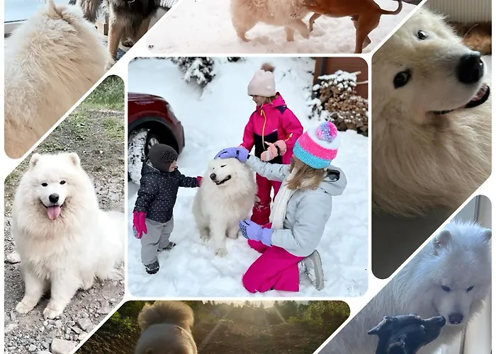 Widokowy Z Balia Jacuzzi I Sauna Na Wylacznosc - Sikorowka - Dobre Miejsce *